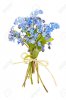 13558502-bouquet-of-blue-wild-forget-me-not-flowers-tied-with-bow-isolated-on-white.jpg